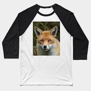 Red Fox portrait Baseball T-Shirt